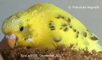 Susi, als sie noch gesund war