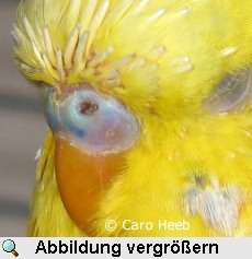 Verstopftes Nasenloch