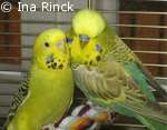 Lenny und Bonny