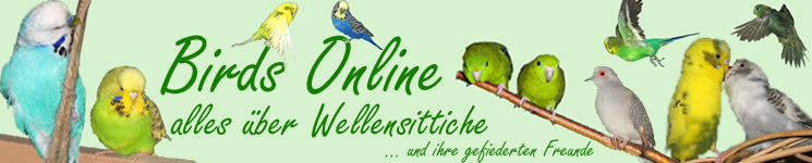 Einzug Eines Zweiten Bzw Neuen Wellensittichs Allgemeine Informationen Uber Wellensittiche Birds Online