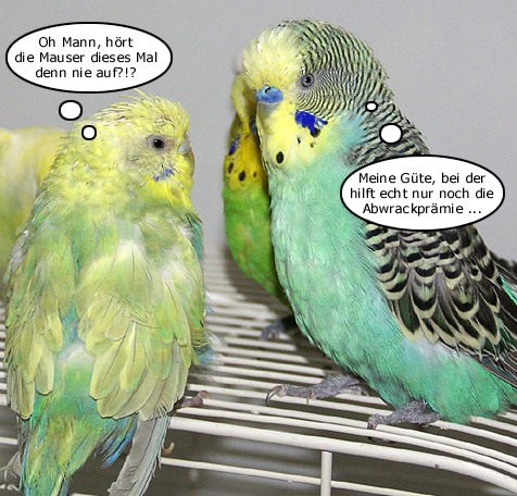 Charmant geht anders ...