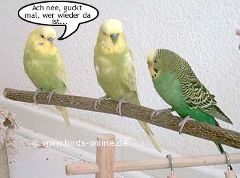 Urlaubsmitbringsel - Bild 1