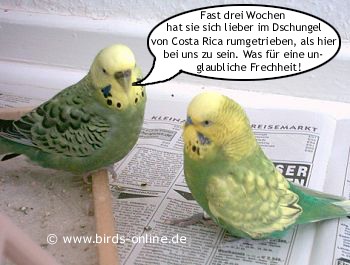 Urlaubsmitbringsel - Bild 2