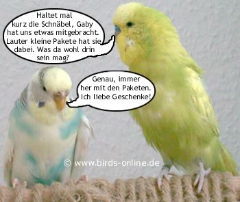 Urlaubsmitbringsel - Bild 3