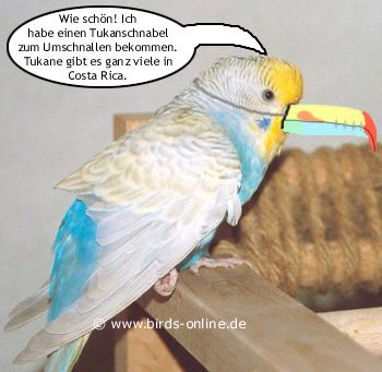 Urlaubsmitbringsel - Bild 4