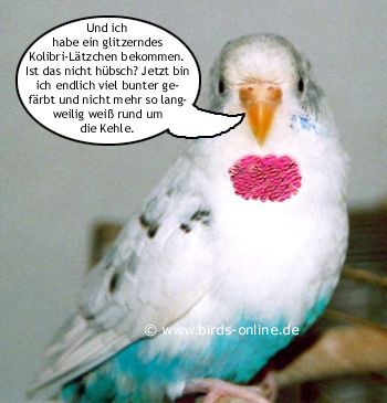 Urlaubsmitbringsel - Bild 5
