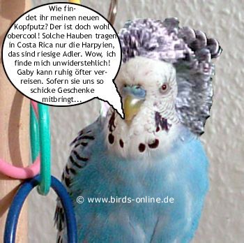 Urlaubsmitbringsel - Bild 6