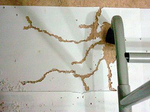 Earth Art