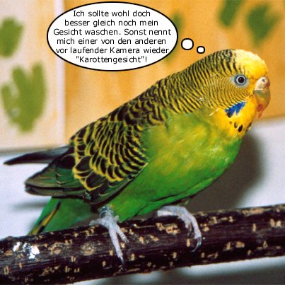 Karottengesicht