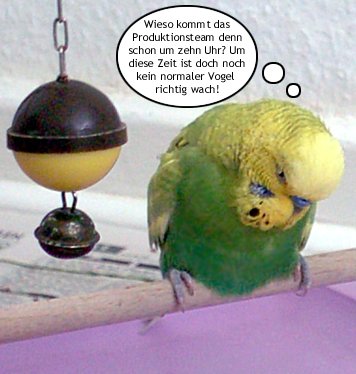 Da ist doch noch keiner wach ...