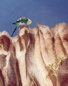 Umbriel on La Digue