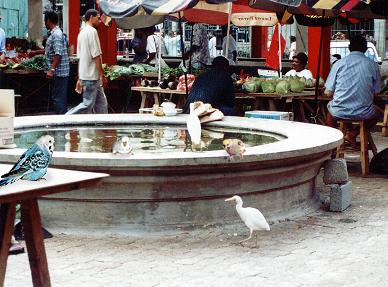 Market on Mah&eacute;