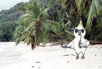 Nellie am Traumstrand
