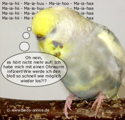 Ohrwurm 3