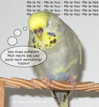 Ohrwurm 4