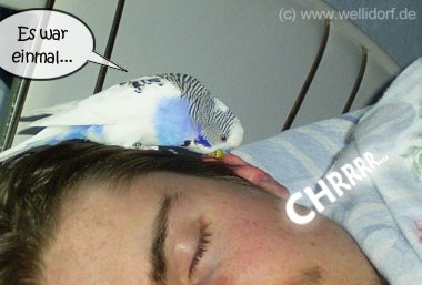 Gutenachtgeschichtenerz&auml;hlen