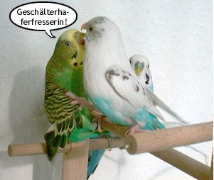 Gesch&auml;lterhaferfresserin