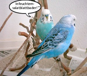 Infeuchtemsalatblattbader