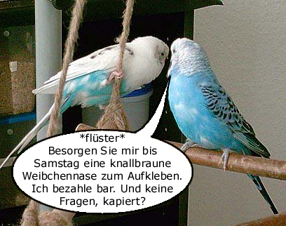 Die Vorbereitungen laufen an