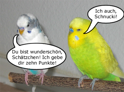 Bewertung der ersten Teilnehmerin