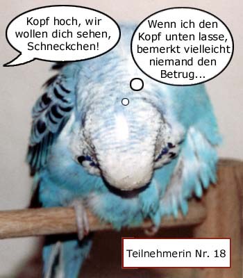 Teilnehmerin Nr. 18