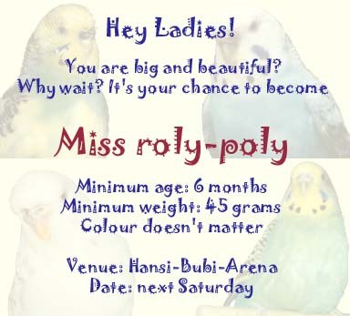 The poster