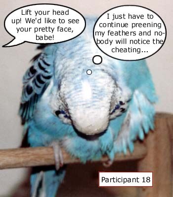 Participant 18