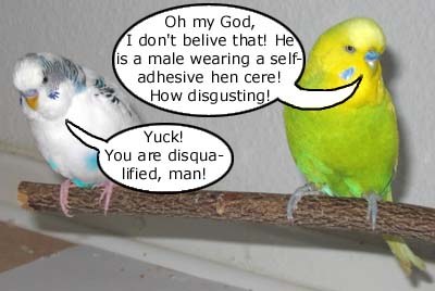 Disqualified