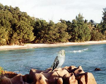 Tethys on La Digue
