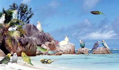 The most beautiful beach