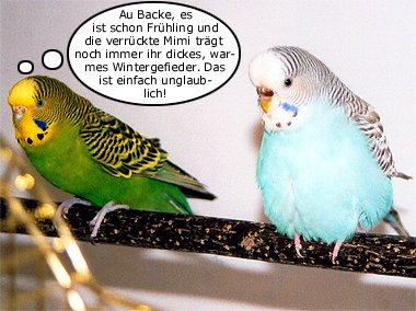 Wintergefieder?!?