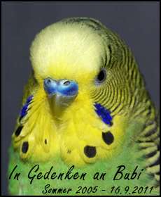 In Gedenken an Bubi