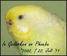 In Gedenken an Phoebe