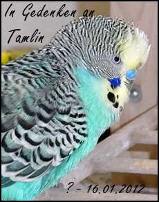 In Gedenken an Tamlin