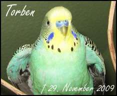Lebe wohl, lieber Torben