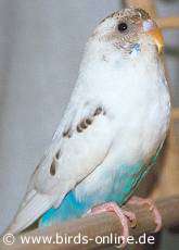 Himalia