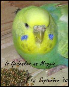In Gedenken an Maggie