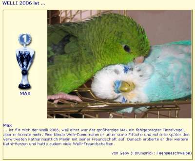 Welli 2006