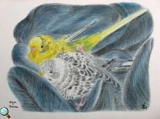 Portr�t von Indira und Shiva