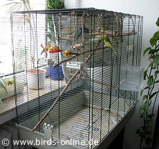 Der K�fig der Bochum-Wellis
