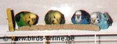 Gemeinsam Genie&szlig;en ist besser