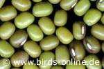 Soy beans