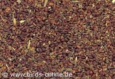 Seeds of the Evening primrose