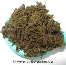Budgie Butter