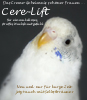 Cere Lift