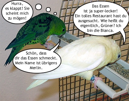 Bild 12