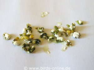 If you have a close look you will spot some undigested seeds in these budgie droppings.