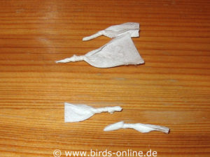 Aus Papiertaschentüchern lassen sich leicht Nasenreiniger für kleine Sittiche und Papageien anfertigen.