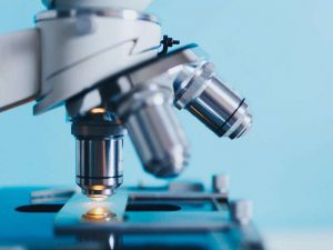 Unter einem Mikroskop werden Trichomonaden sichtbar, sofern sie sich in einem frisch entnommenen Abstrich befinden. © kkolosov/Pixabay