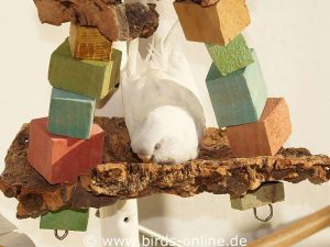 Schaukel-Liege aus Kork mit Holzspielzeugen, die auch gut von Handicap-Vögeln genutzt werden kann; gebaut von Jennifer Gekeler.